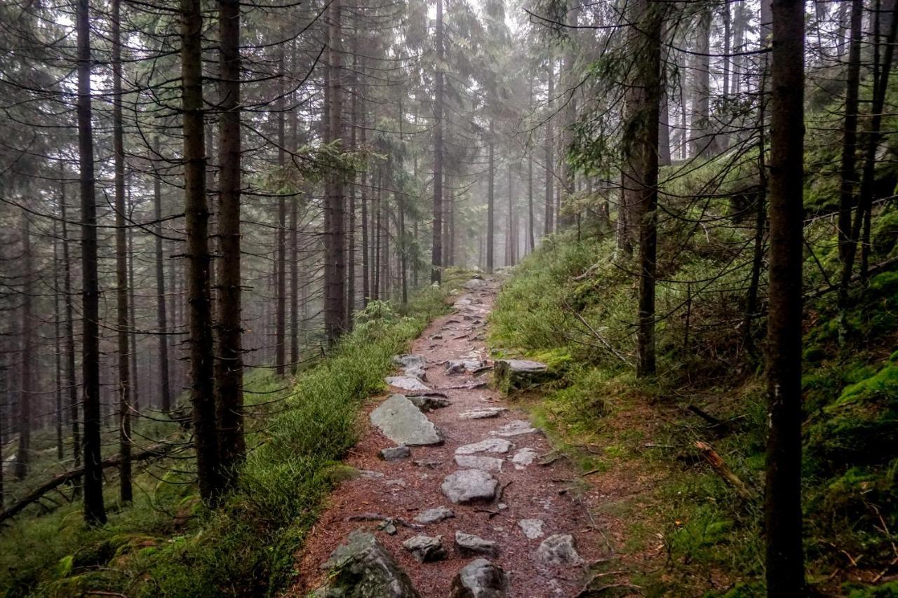 Domek alpejski Cicha Struga Chocieszow